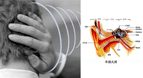 右邊耳鳴|耳朵嗡嗡叫，持續耳鳴怎麼辦？一文看懂「耳鳴」的8。